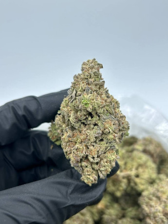 top-grade-medical-marijuana-of-different-strain-big-0
