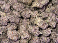 medial-marijuana-top-quality-small-1