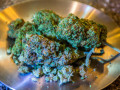 buy-top-strains-online-at-good-prices-small-0