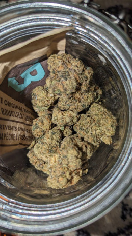 buy-quality-cannabis-online-in-new-york-big-1