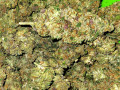 blue-skunk-and-fruit-pie-ozs-small-1