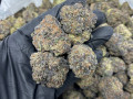 buy-quality-strains-at-affordable-prices-small-0