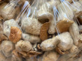 mushroomavailable-in-stock-small-1